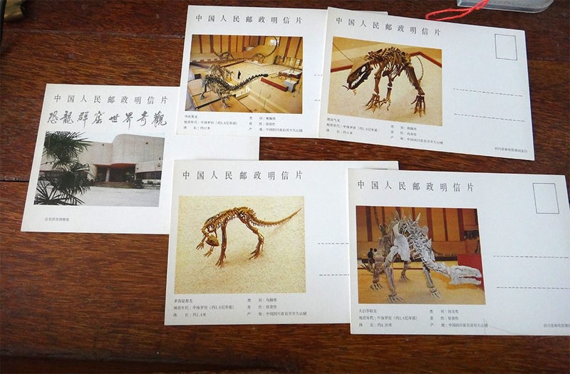 old postcards (x5) - Dinosaur skeletons Carousel 1