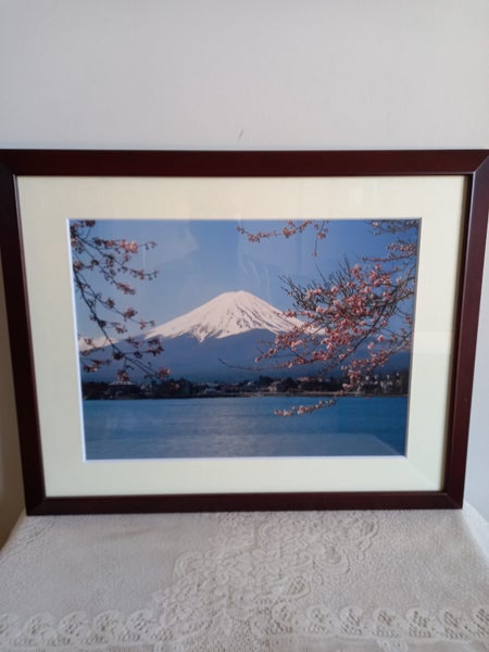 Framed photo of Mt Fuji Carousel 1