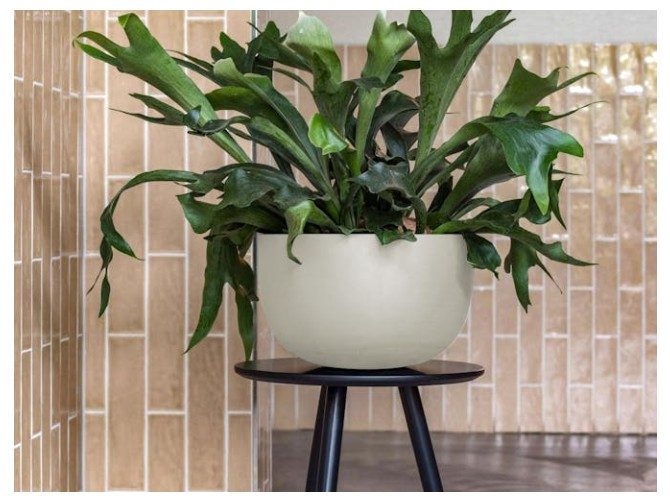 Ronda Fiberstone Pot Cream 21L Carousel 1