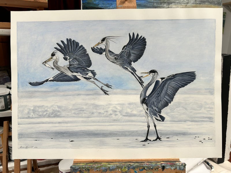 3 Birds Take Off62863242380161112