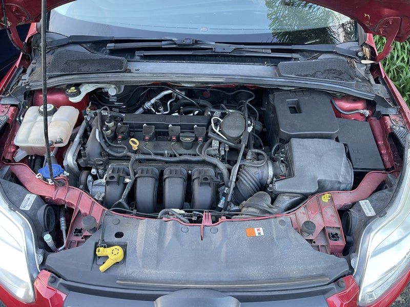 2013 Ford Focus Trend62863251499137114