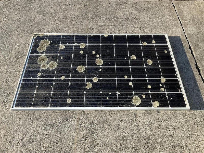 Solar Panels 1650x990 (5x) Carousel 1