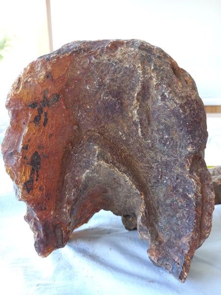 Kauri Gum62854316459137113