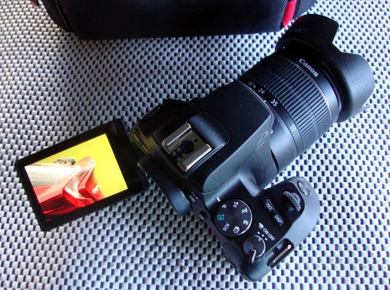 Canon EOS 250D - Latest Model (Wifi & Bluetooth & 4K Video)62866850722946112