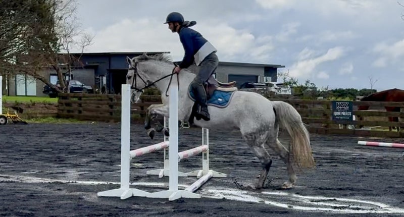 Ultimate second pony62863856577154111