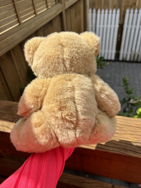 Teddy Bear Carousel 2