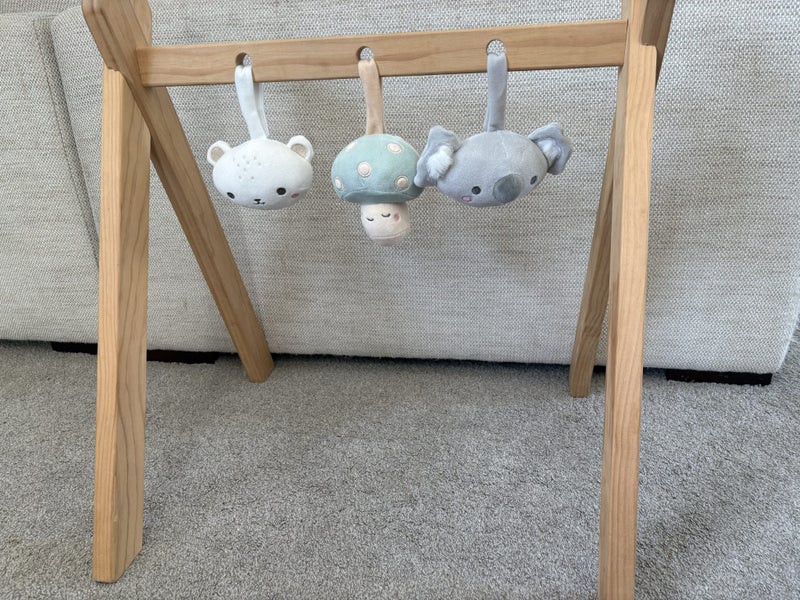 Baby play gym Carousel 1