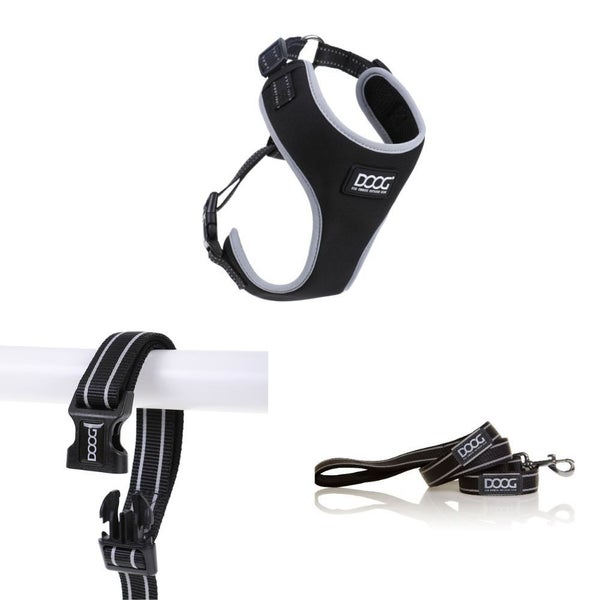 Lassie Co-ordinates by DOOG Carousel 1