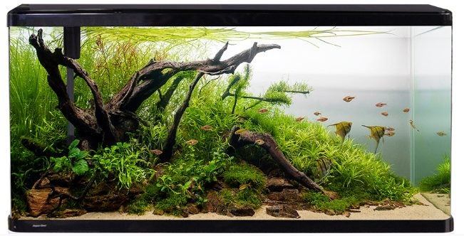 Aquariums Carousel 1