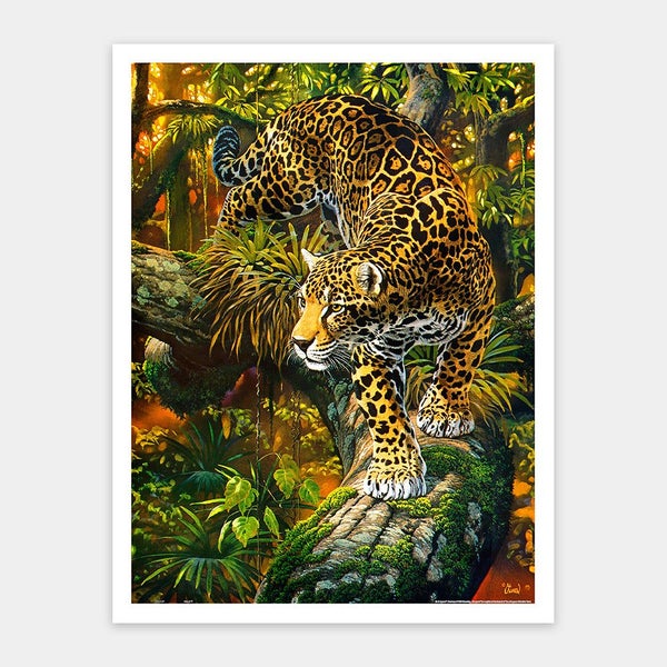 Showcase Puzzles High Intensity - 1200 Piece Jigsaw Puzzle Carousel 1