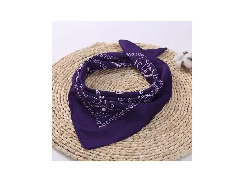 Popular Hip Hop Cashew Flowers Bandana Men Women Outdoor Headbands Hair Band Carousel 1