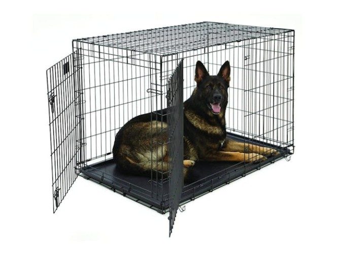 DOG CRATES XXL Carousel 1