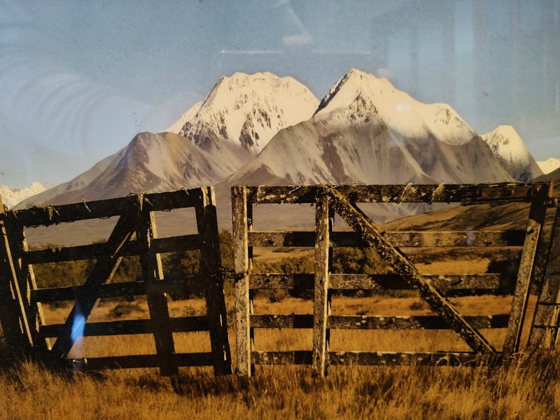 Professionally Framed Photograph62854320285187111