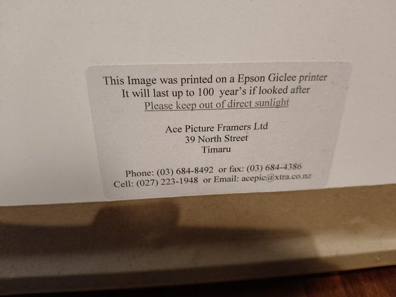Professionally Framed Photograph62854320285187112
