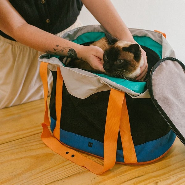 Pet Carrier Carousel 11