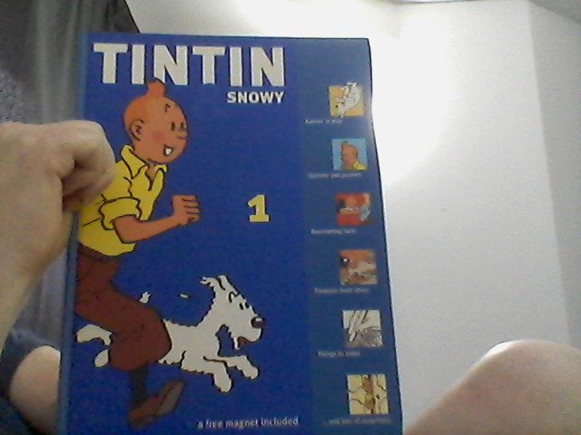 Tintin & Snowy -Album 1 -9 Pages with pen marks on the questions62854312081666114