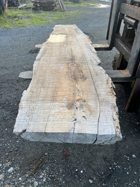 Beautiful Rata Timber Slab – Rare NZ Native Hardwood (2.75m) Carousel 2