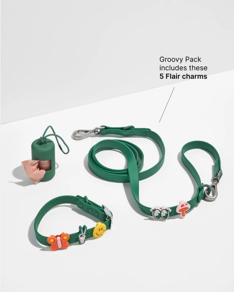 Wild One: Standard Flair Charms - Groovy Bundle (5-Pack) Carousel 2