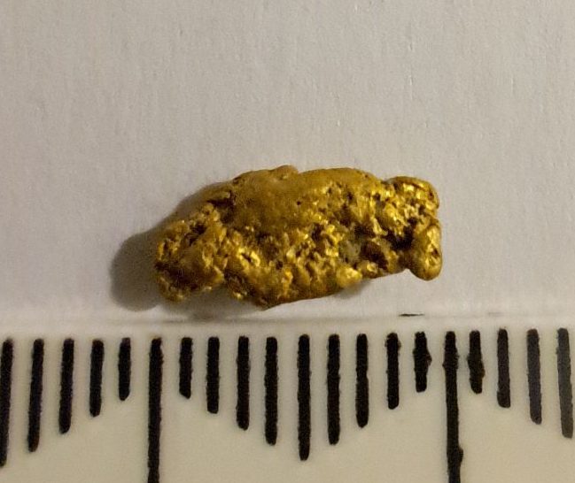 Gold Nugget $1 Reserve 0.61 of a gram Carousel 1