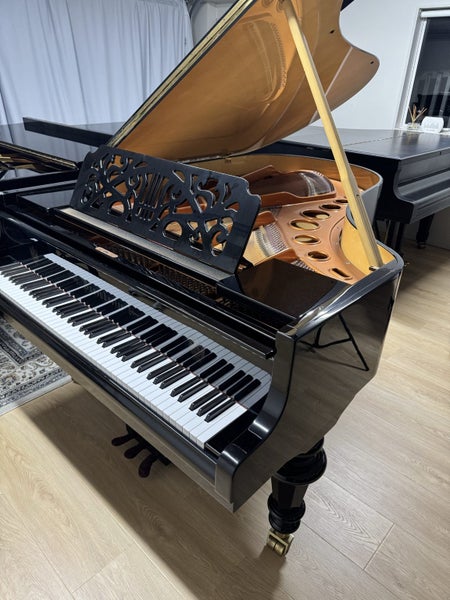 1995 Bösendorfer Grand Piano 200 “Strauss” Limited edition62865824332545111