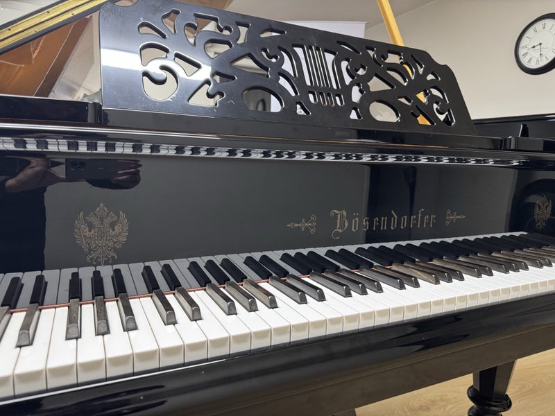 1995 Bösendorfer Grand Piano 200 “Strauss” Limited edition62865824332545113