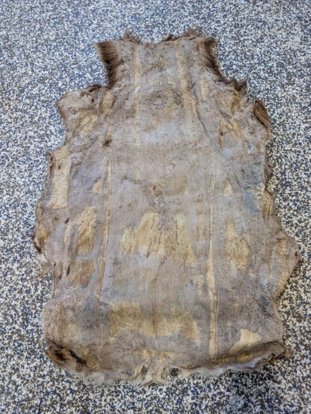 Deer Pelt62854315305475111