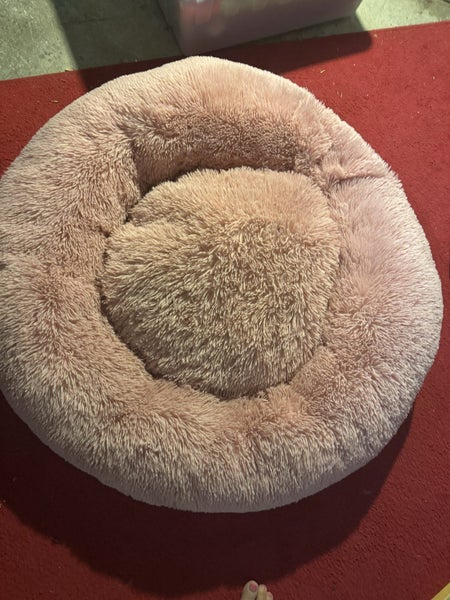 Dog bed, bowls, harnesses, leads, toy & jumper. Carousel 1