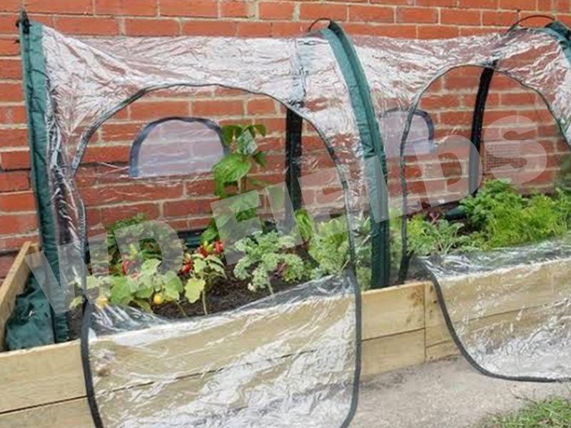 Poly Grow Tunnel Carousel 2