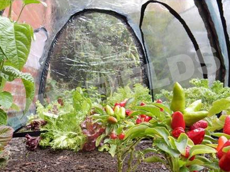 Poly Grow Tunnel Carousel 3
