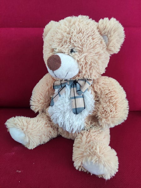 Large Teddy with Bow - 36cm Carousel 1