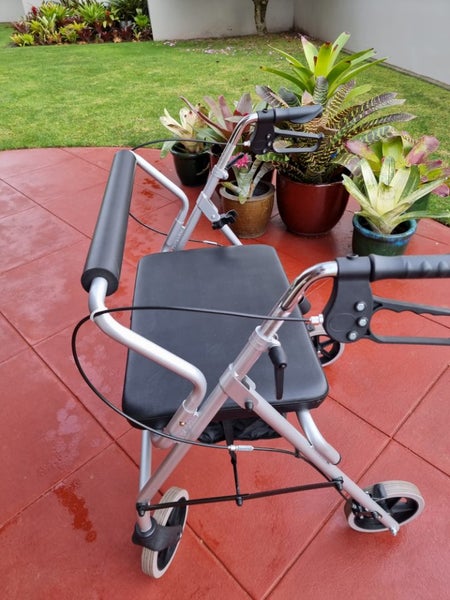 large walking frame62863229223554117
