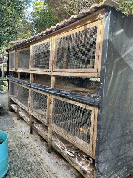 Quail/Rabbit Cage Carousel 1