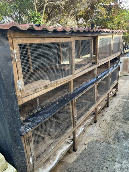 Quail/Rabbit Cage Carousel 2