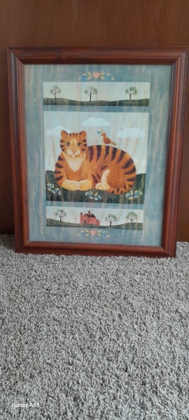 Cat Pictures Carousel 1