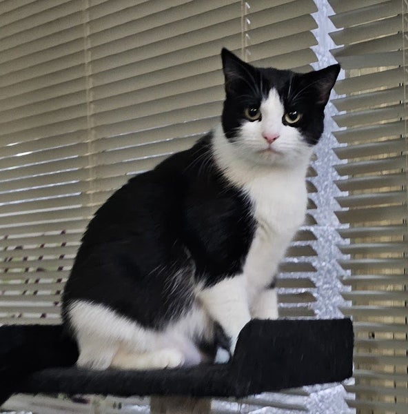 She saved a life after being dumped Carousel 1