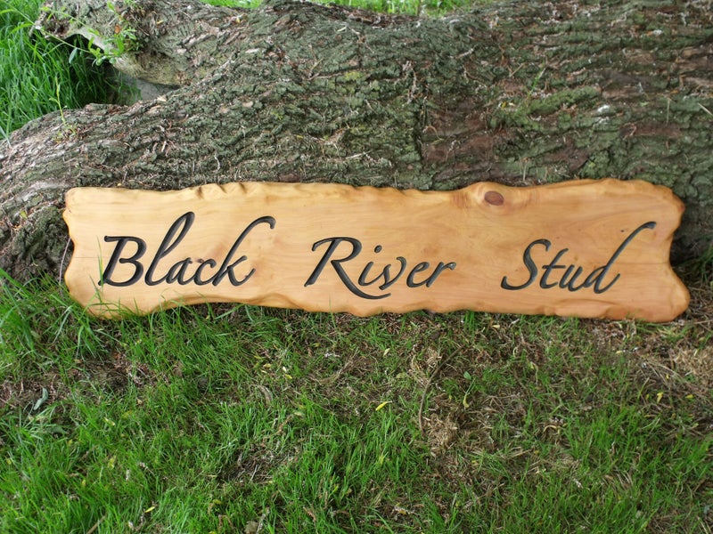 wooden signs / Plaques Carousel 1