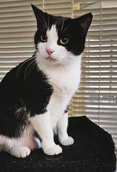 She saved a life after being dumped Carousel 3