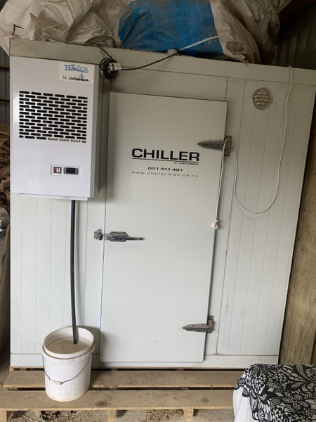 Walk in Chiller629347245300491111