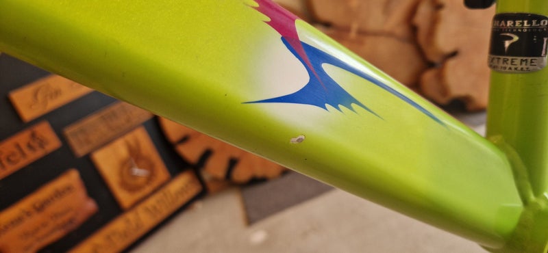 Pinarello Prince62863239352835114