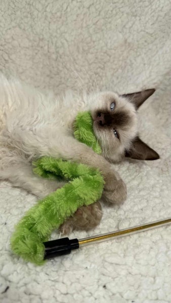 Fluff Monsters62997082253826113