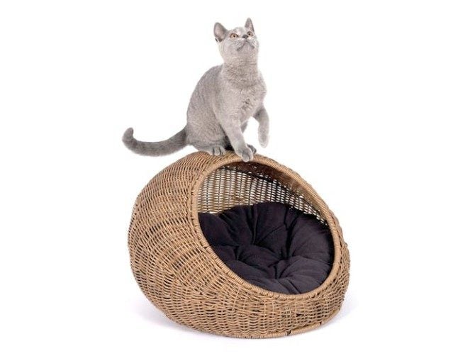 Fetch Wicker Cat Cave Carousel 1