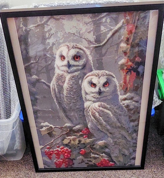 Diamond Painting Framed628647292753951115