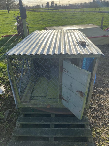 Dog Kennel Carousel 7