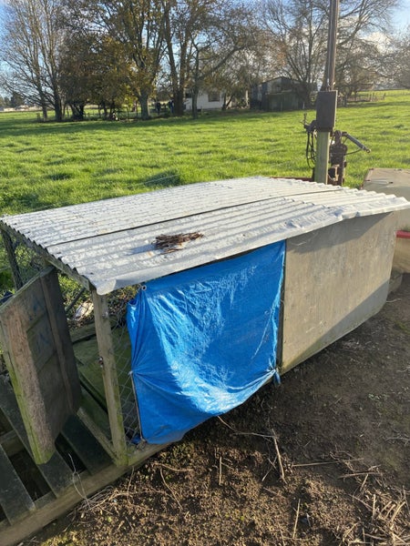 Dog Kennel Carousel 1