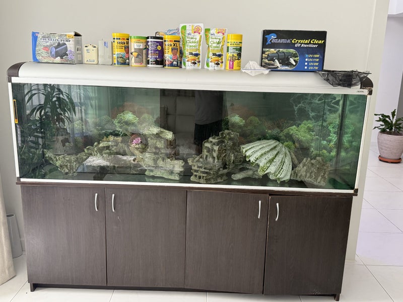 Fish tank Carousel 1