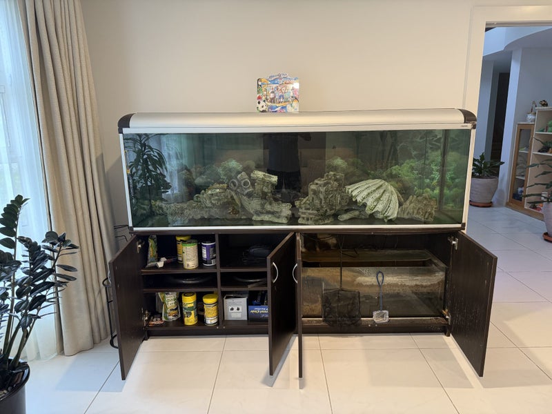 Fish tank Carousel 2