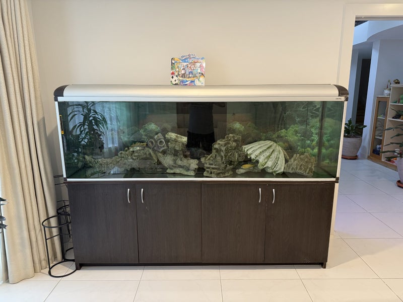 Fish tank Carousel 3