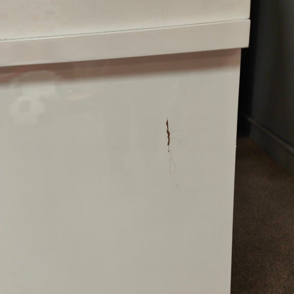 Windmill Kids Furniture - Adela Desk with Hutch - SHOP FLOOR Carousel 9