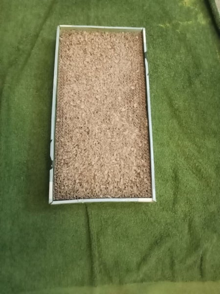 Cat Scratching Block Carousel 1