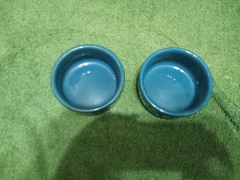 2 Cat Bowls Carousel 1